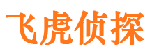 扶余市私家侦探